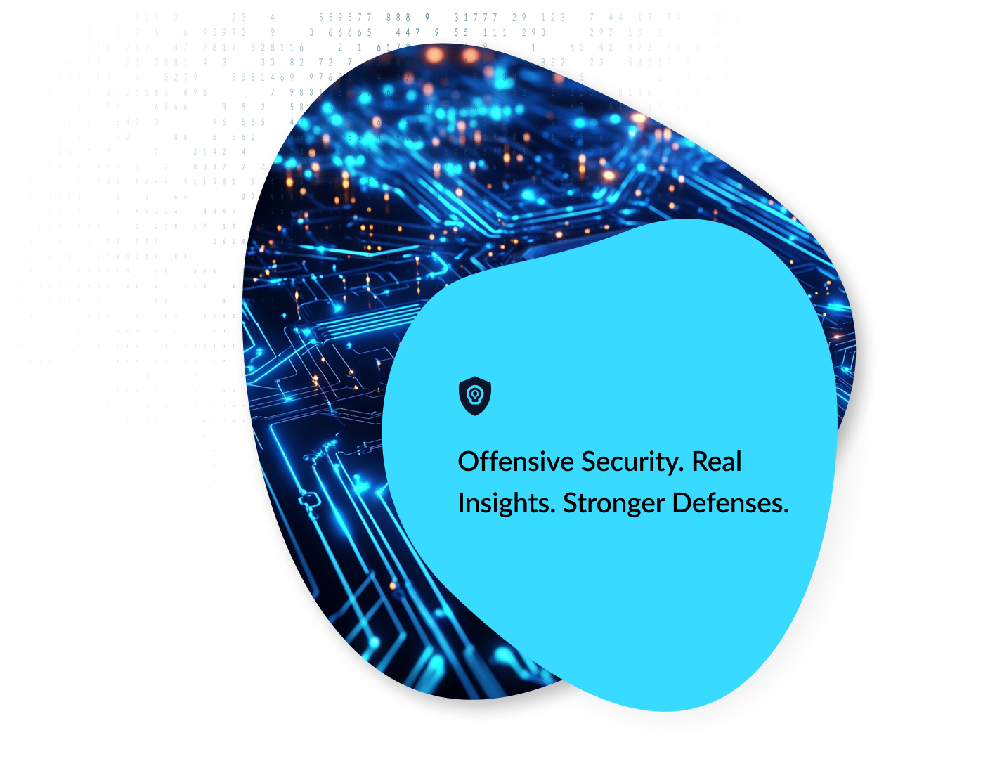 offensive cybersecurity firm South Africa